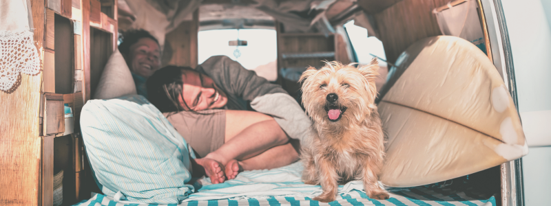 rv expenses