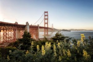 travel nurse spring locations california