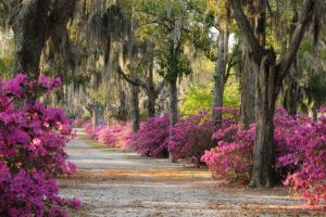 travel nurse spring locations