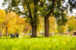 6 great parks to visit