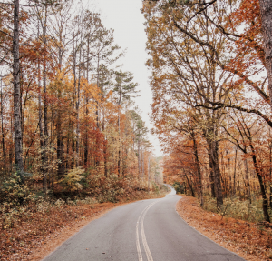 fall travel