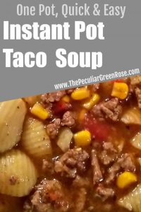 instant pot recipes