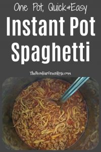 instant pot recipes