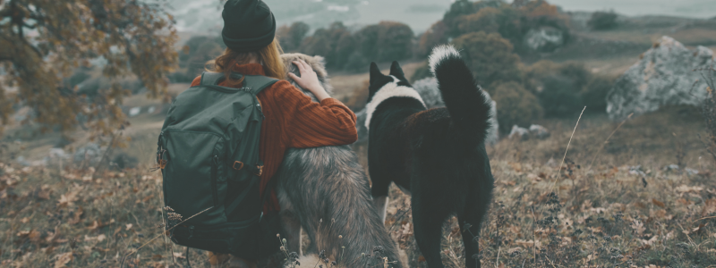 Travel Nurse Pets on Assignment
