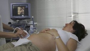 ultrasound training