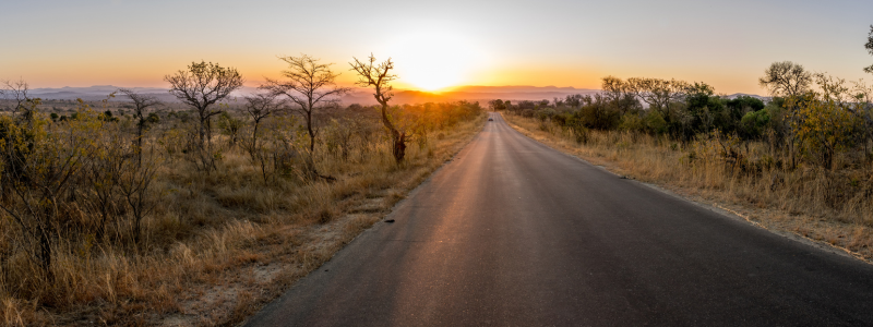 travel nurse journey
