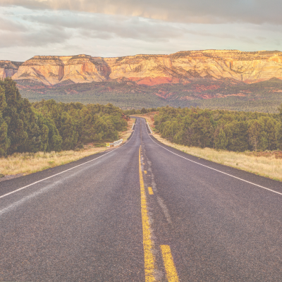 travel healthcare professional