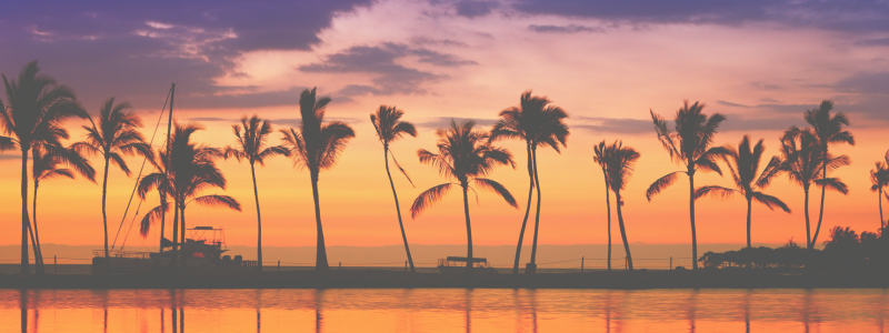 travel healthcare professional