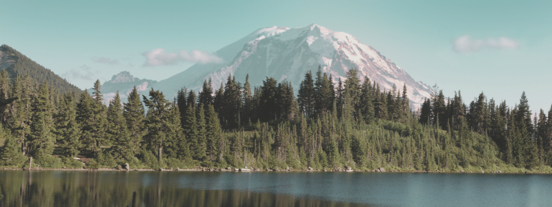 washington state
