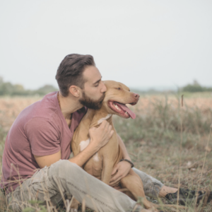 pet-friendly housing options