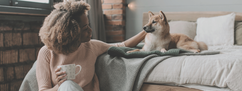 pet-friendly housing options