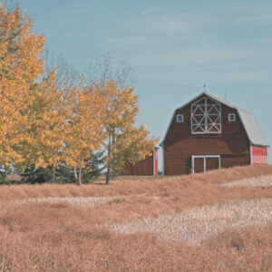 fall travel assignments