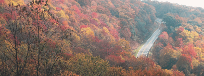 fall travel assignment