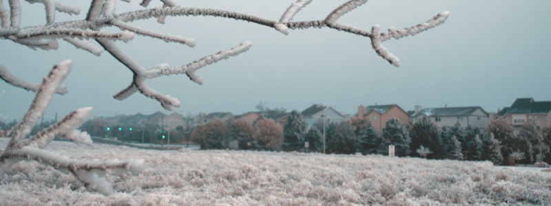 cold weather