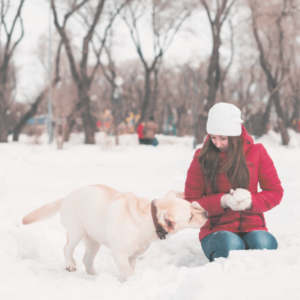 cold-weather locations