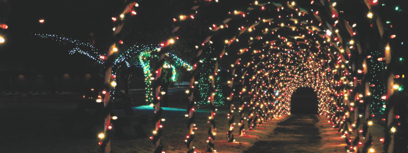 the holidays