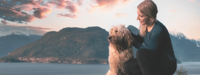travel with pets