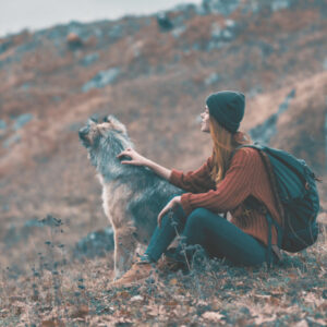 traveling with pets