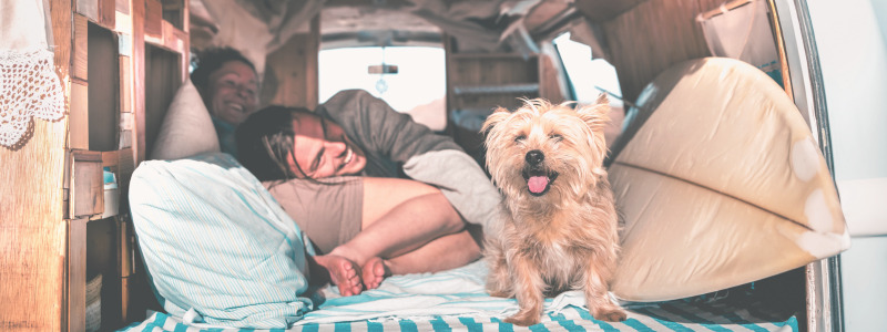 rv travel