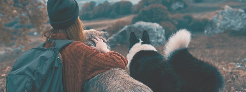 pet owner