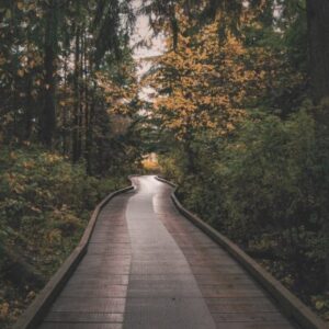 maximize your travel nurse stipend