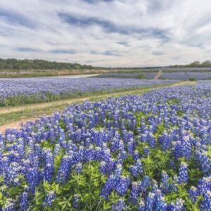 travel nurse destinations