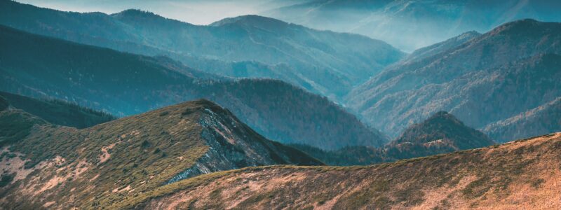 fall travel healthcare assignments