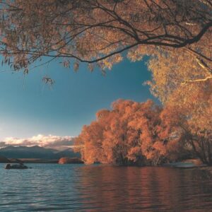 fall travel assignment
