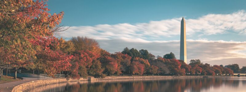 fall travel assignment