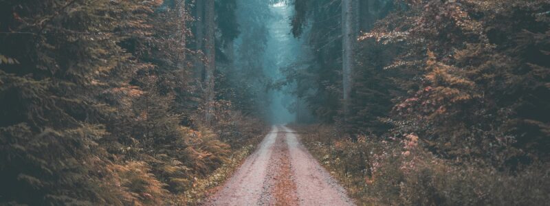 outdoorsy side