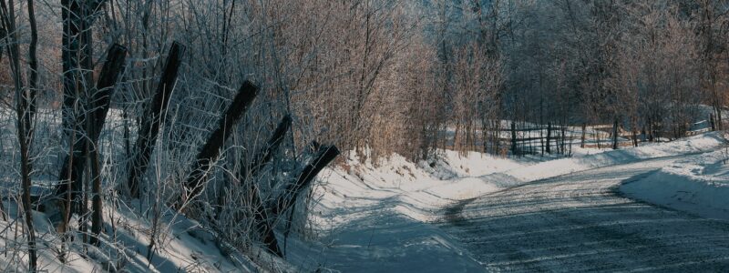 cold locations