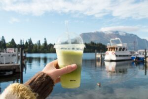 fall travel assignment