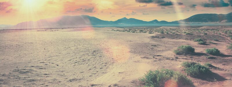travel nurse career