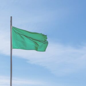 healthcare traveler red flag